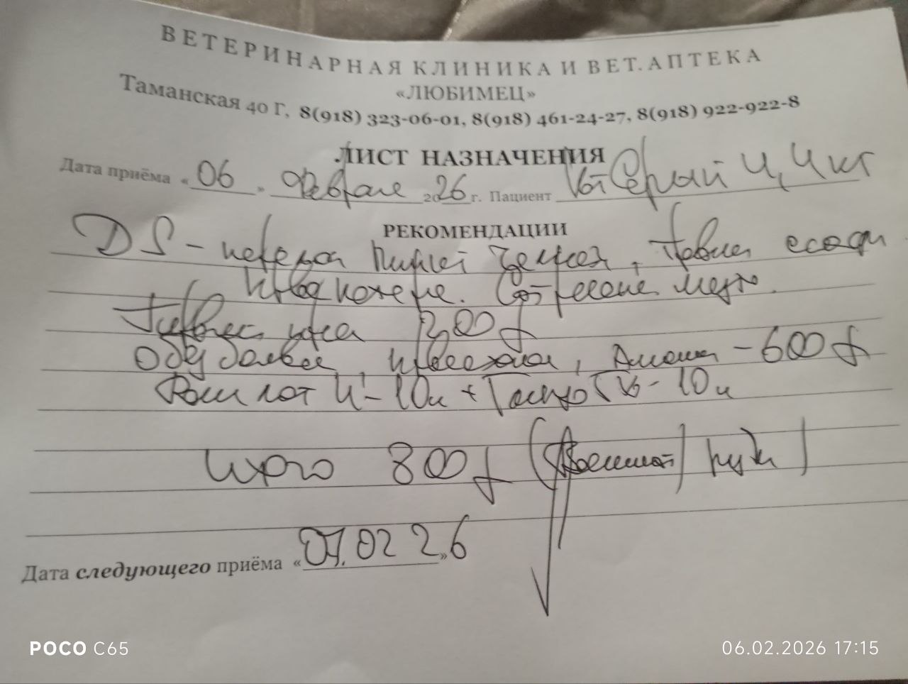Мурз